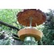 Mangeoire à graines pour oiseaux en bois recyclés et brut