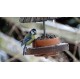 Mangeoire à graines pour oiseaux en bois recyclés et brut