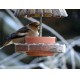 Grande MANGEOIRE À GRAINES POUR OISEAUX EN BOIS RECYCLÉS ET BRUT