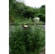 Fleurs en bois recyclés du jardin des lutins "coeur nature"