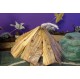 Cabanes des lutins en bois recyclés "frêne" fabrication artisanale