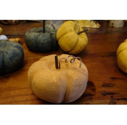 Potiron orange des lutins