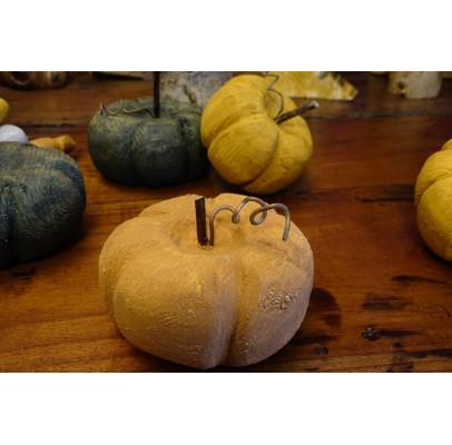 Potiron orange des lutins