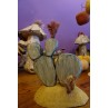 Cactus verts des lutins