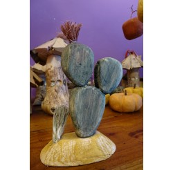 Cactus verts des lutins