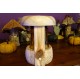 Lanterne LED verre jaune rechargeable sur USB "champignon des lutins"