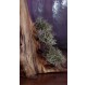Boite en bois recyclé, lichen "maison de lutins"-artisanale
