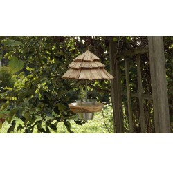 Mangeoire à oiseaux-bois recyclé-rouge-gorge