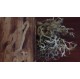 Objet de déco "maison de lutins"-bois recyclé, lichen-artisanale