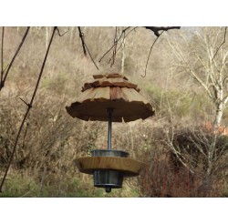 Mangeoire à oiseaux-bois recyclé-rouge-gorge