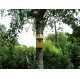 Nichoir à oiseaux -bois recyclé- boite à oiseaux 27 mm
