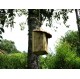 Nichoir à oiseaux à suspendre - boite à oiseaux - accès 27mm