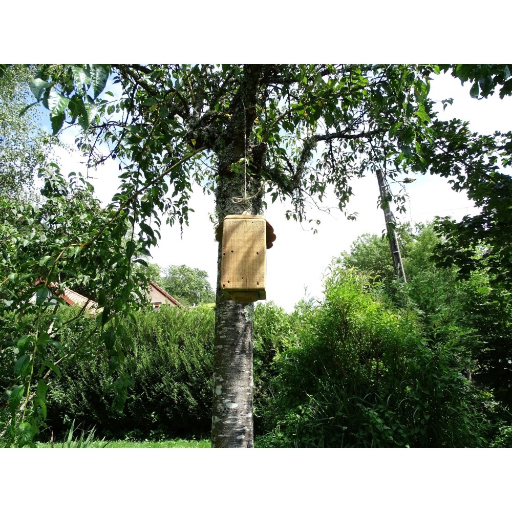 1 Pièce Nichoir En Bois Suspendu Pour Colibri, Maison En Bois Naturel Et  Cage De Repos, Maison Suspendue Pour Oiseaux À L'extérieur, Mode en ligne