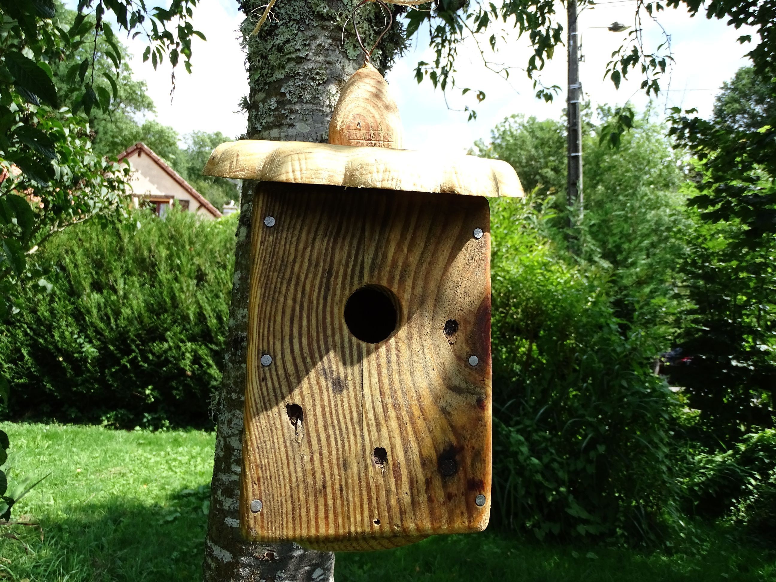Nichoir En Bois, Boîte à Oiseaux Suspendue Extérieure Naturelle Et Sûre  Décorative Avec Perchoir Pour Hirondelles Colibris