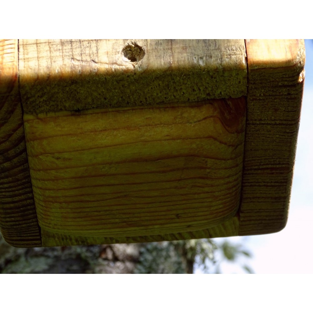 Mokernali Maison D'oiseau en Bois, Maison D'oiseau à Suspendre en Forme De  Bricolage, Utilisation à Suspendre à L'extérieur pour Le Jardin à